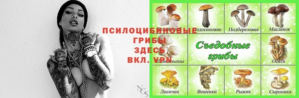 PSILOCYBIN Майский