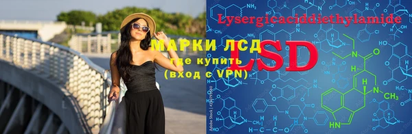 PSILOCYBIN Майский