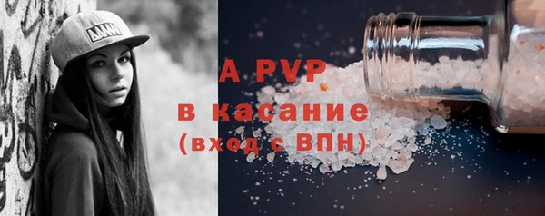 PSILOCYBIN Майский