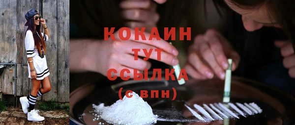 PSILOCYBIN Майский