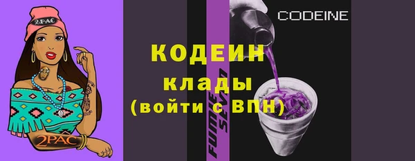 PSILOCYBIN Майский