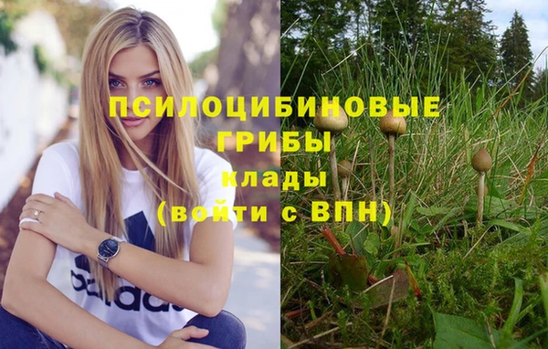 PSILOCYBIN Майский