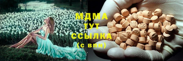 PSILOCYBIN Майский