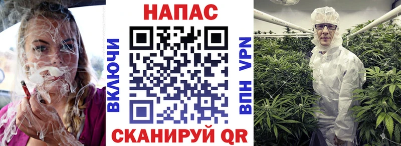 Бошки Шишки семена  Комсомольск-на-Амуре 